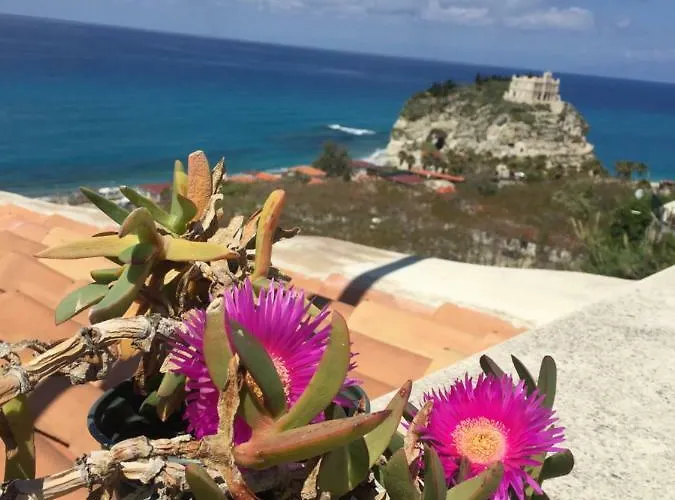 公寓 La Marinette Terrazzo Sul Mare 特罗佩阿